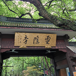 杭州9